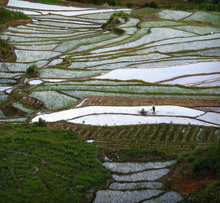Life in the Countryside - Spring ploughing